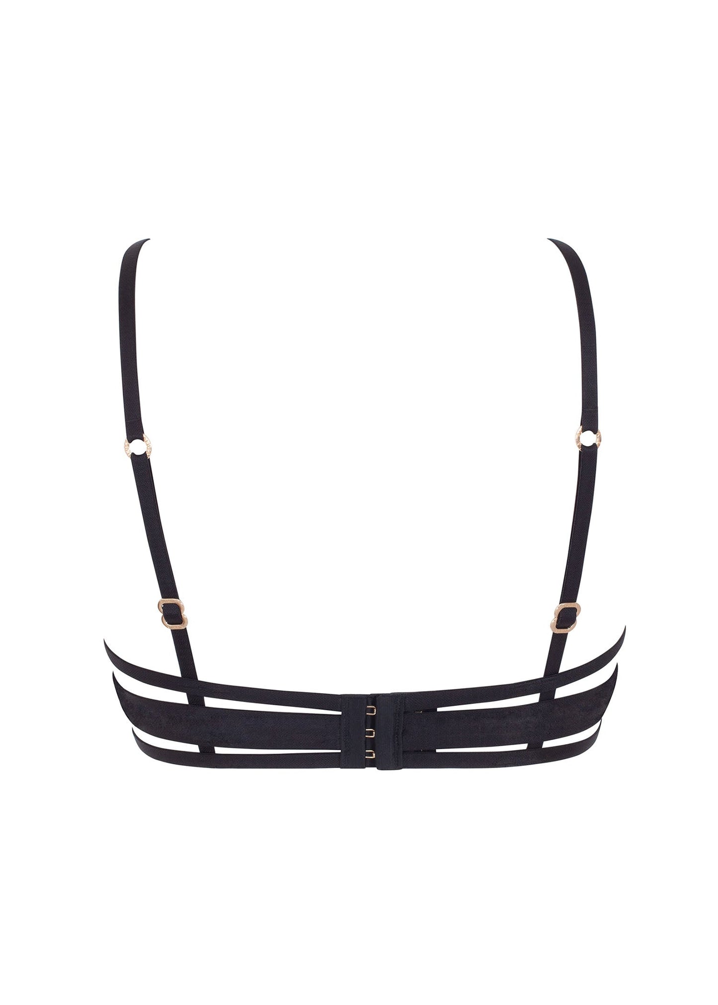 BLUEBELLA Mandra Bra (Black)