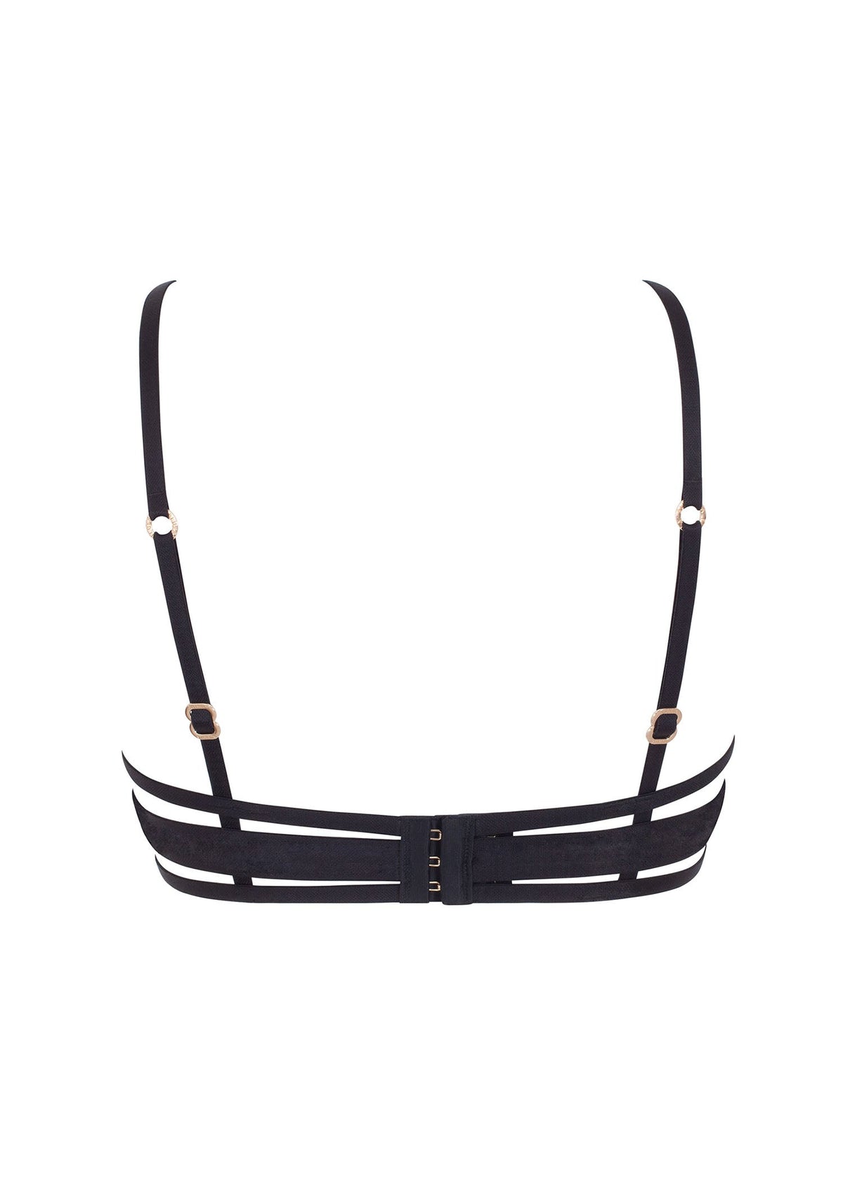 BLUEBELLA Mandra Bra (Black)