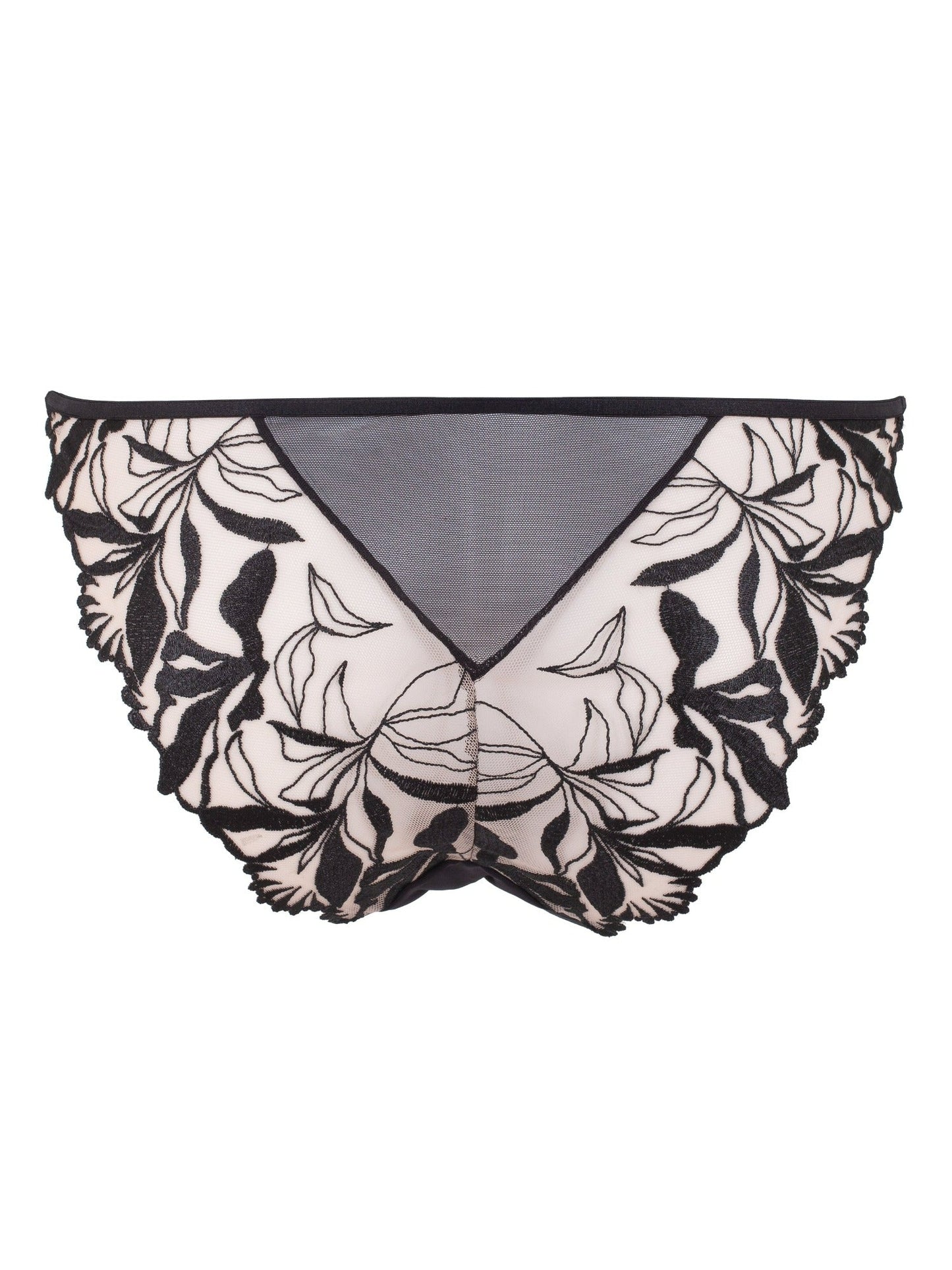 BLUEBELLA Persephone Brief
