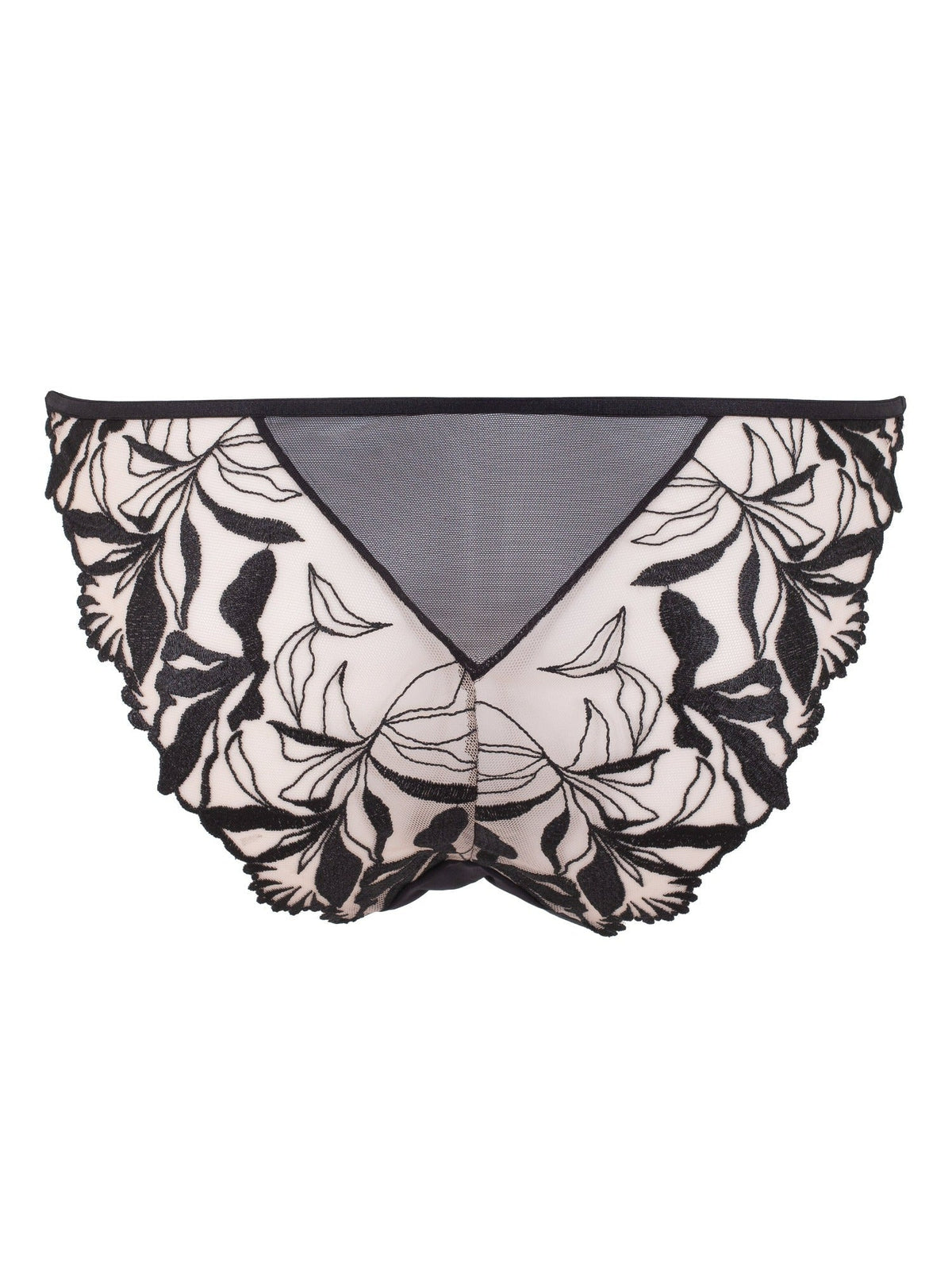 BLUEBELLA Persephone Brief