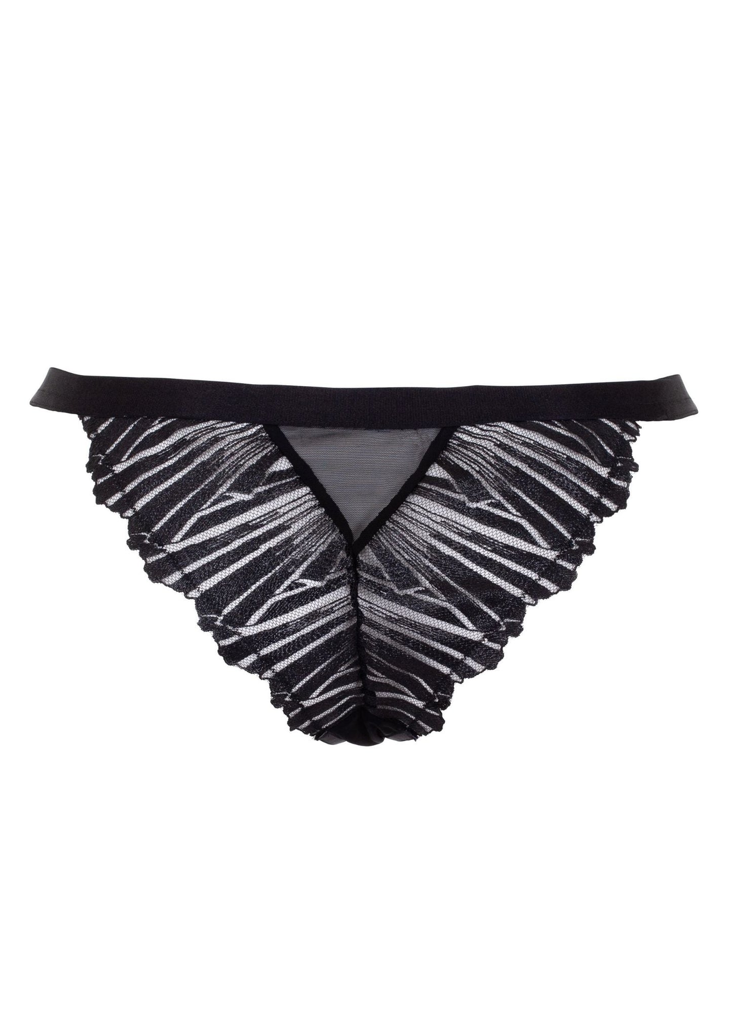 BLUEBELLA Sofia Brief