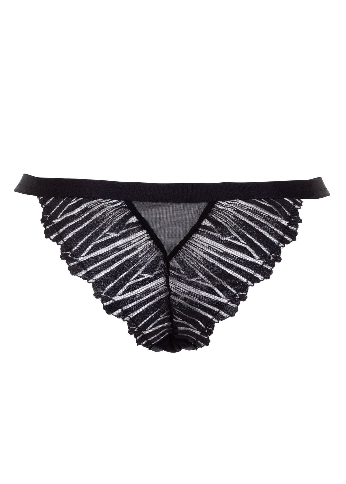 BLUEBELLA Sofia Brief