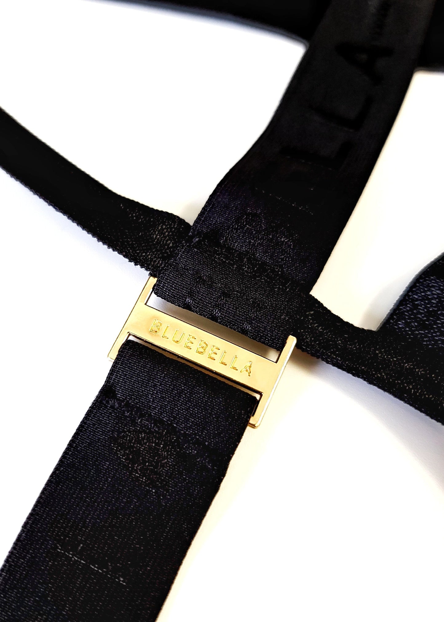 BLUEBELLA Highgate High-waist Suspender Thong
