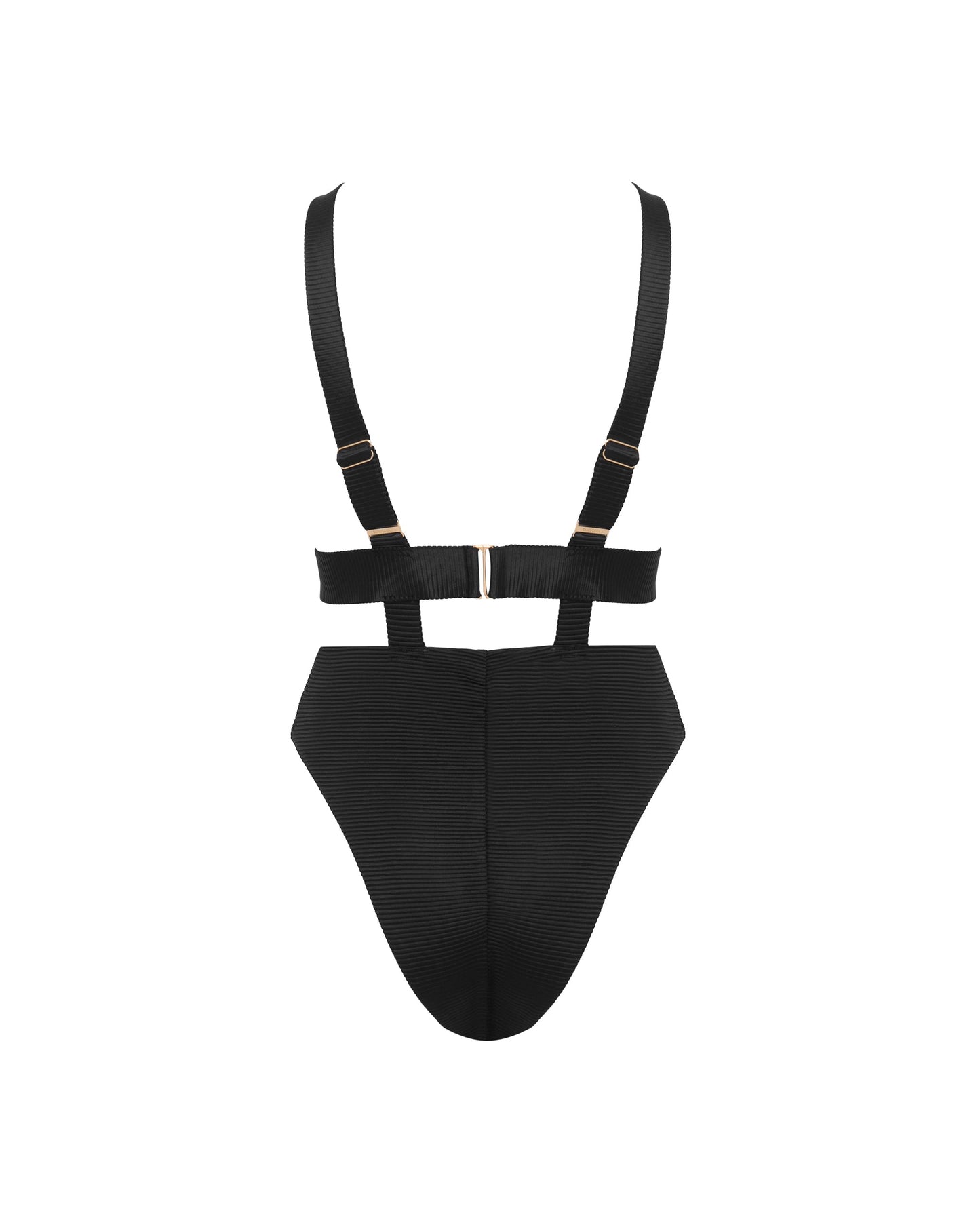  Lucerne Plunge Swimsuit Black