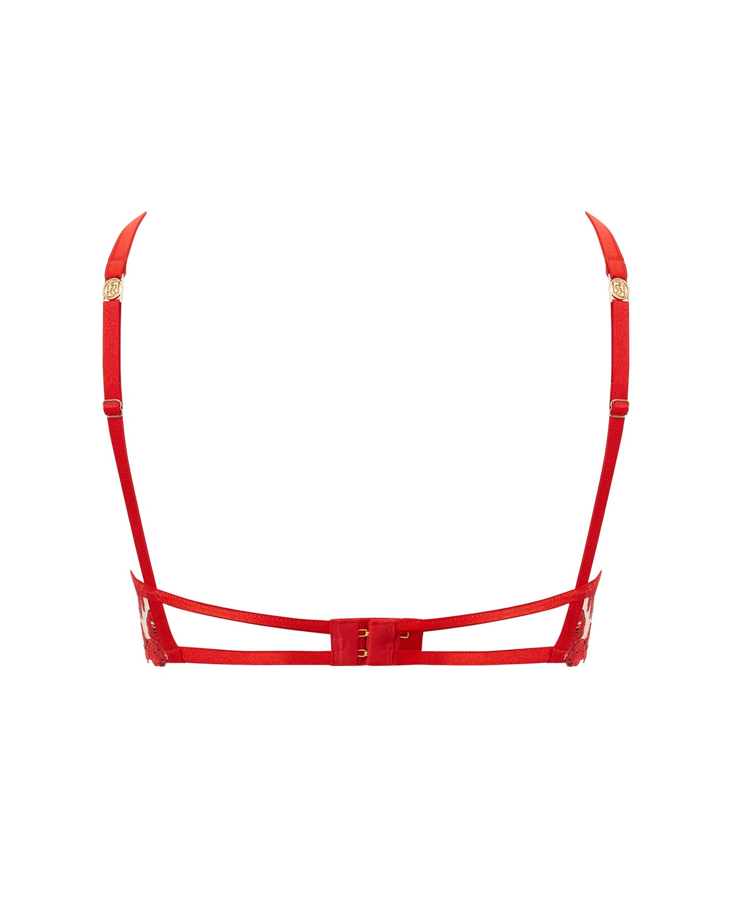  Lavanya Embroidered Longline Bra Red