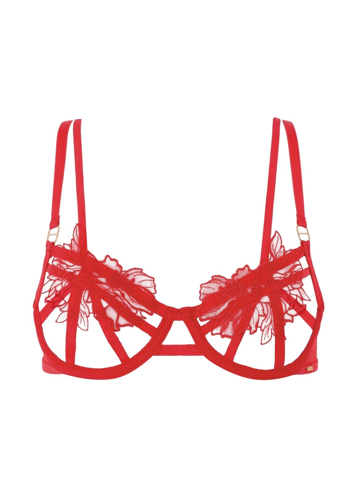BLUEBELLA Tempest Bra