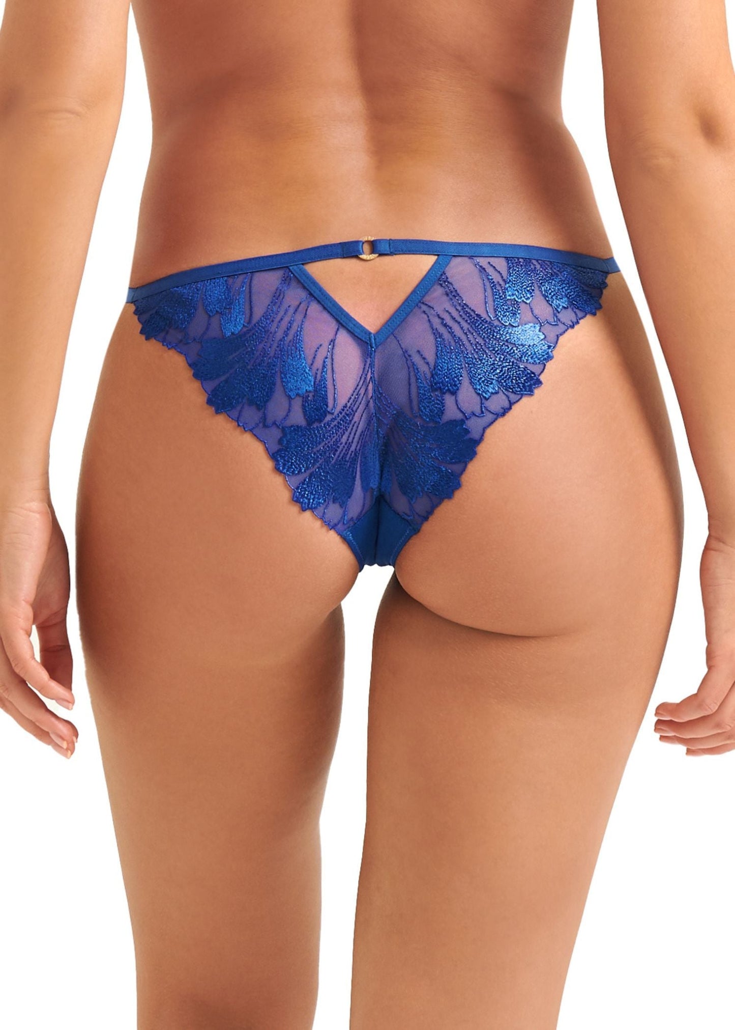 BLUEBELLA Colette Brief (Blue)