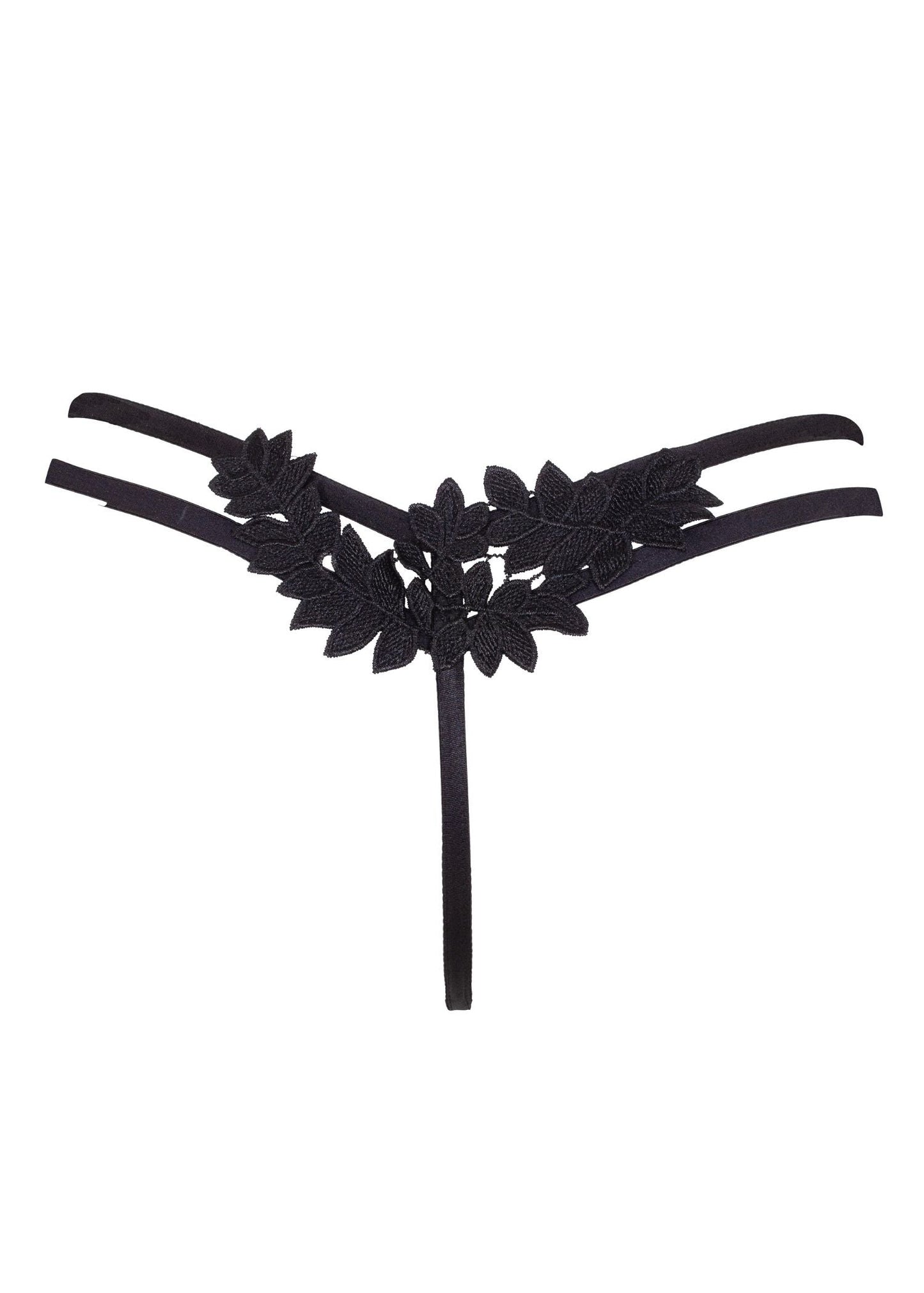 BLUEBELLA Harley Thong