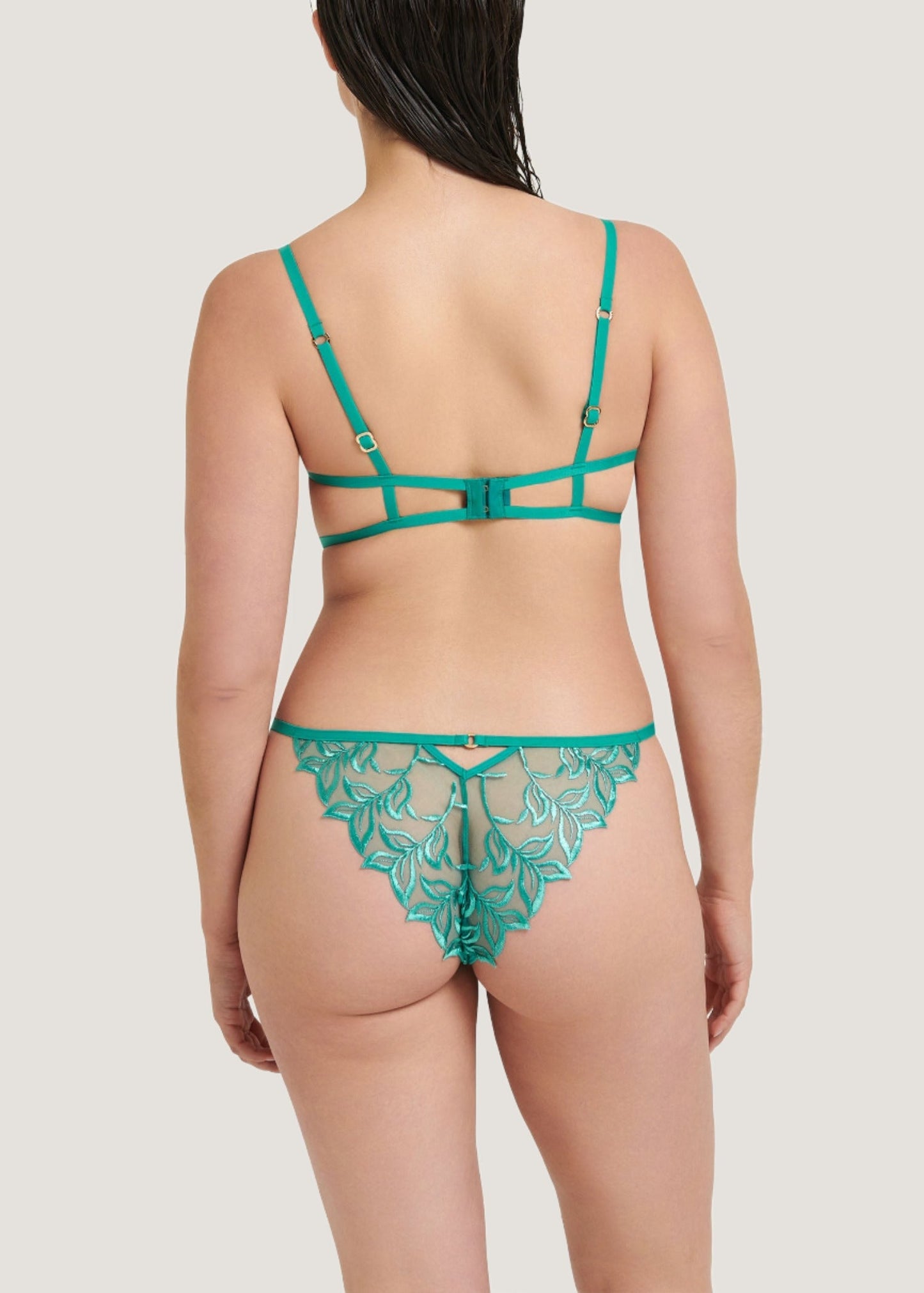 BLUEBELLA Isadora Brief (Columbia Green)