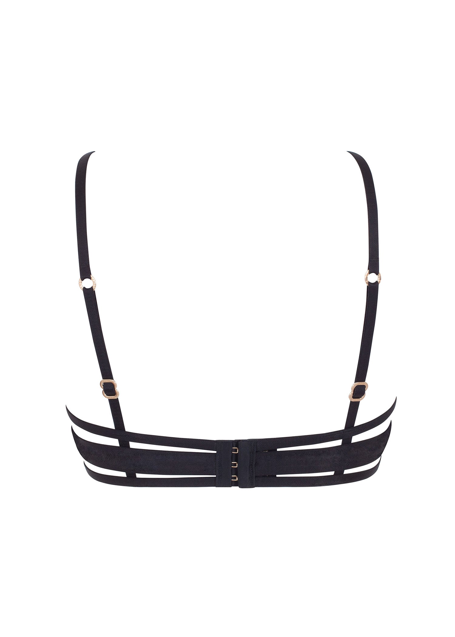 BLUEBELLA Mandra Bra (Black)