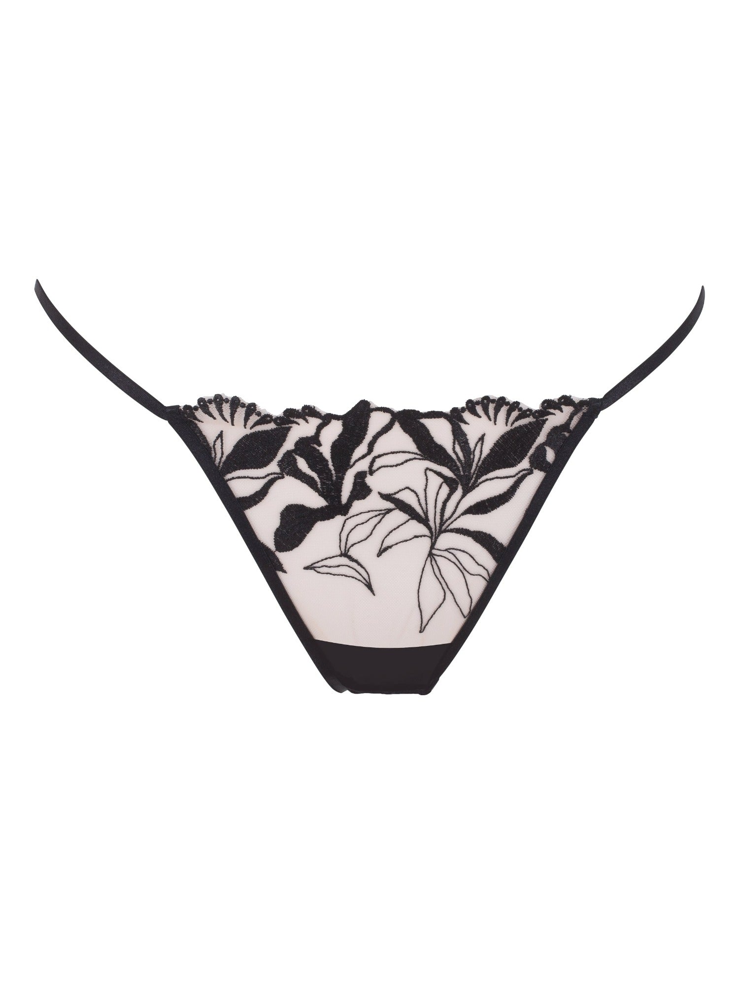 BLUEBELLA Persephone Brief
