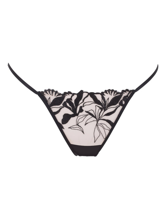 BLUEBELLA Persephone Brief