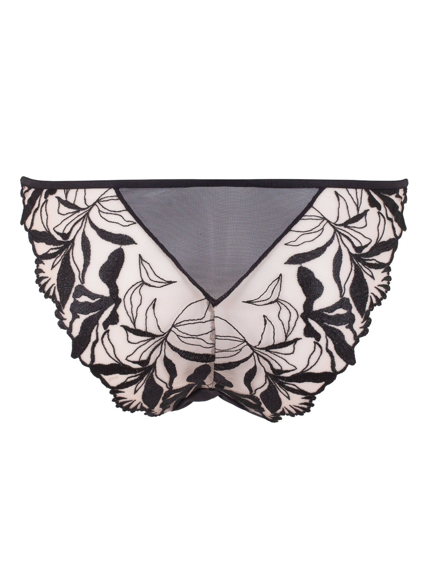 BLUEBELLA Persephone Brief