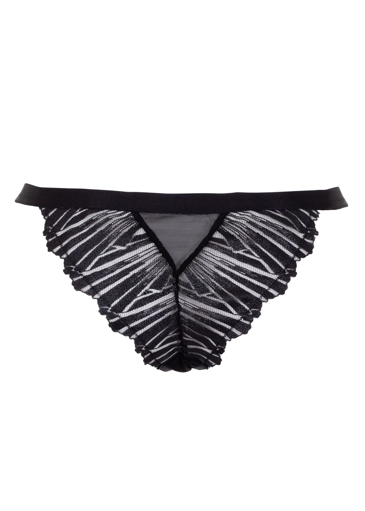 BLUEBELLA Sofia Brief
