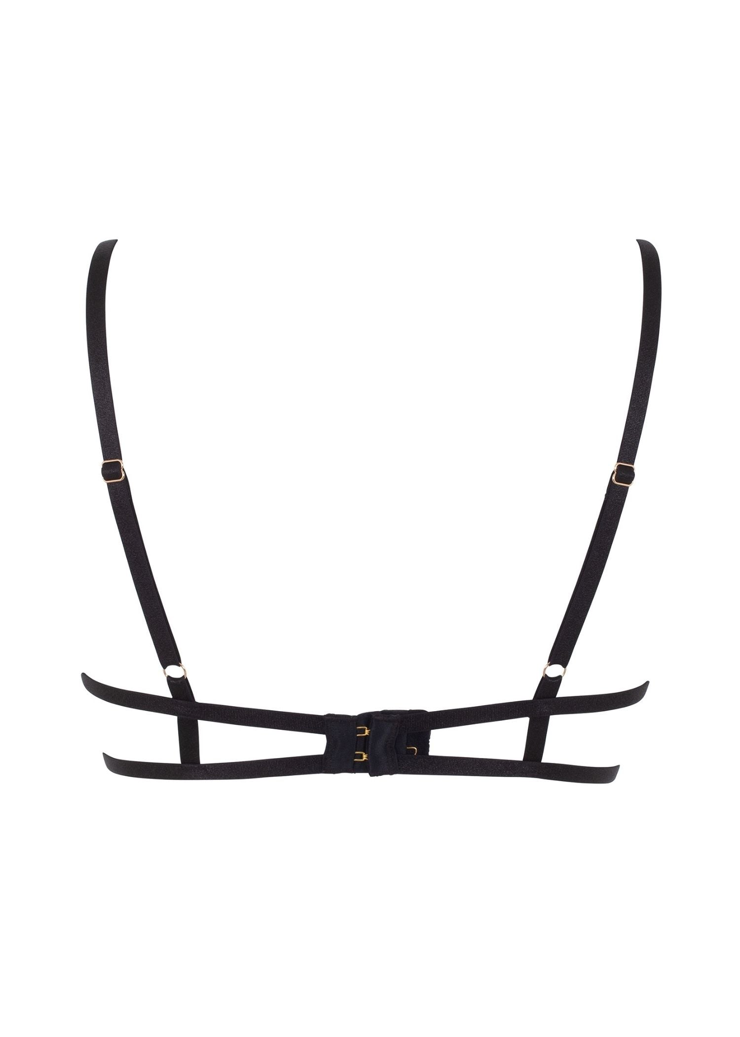 BLUEBELLA Tallulah Open Bra (Black)