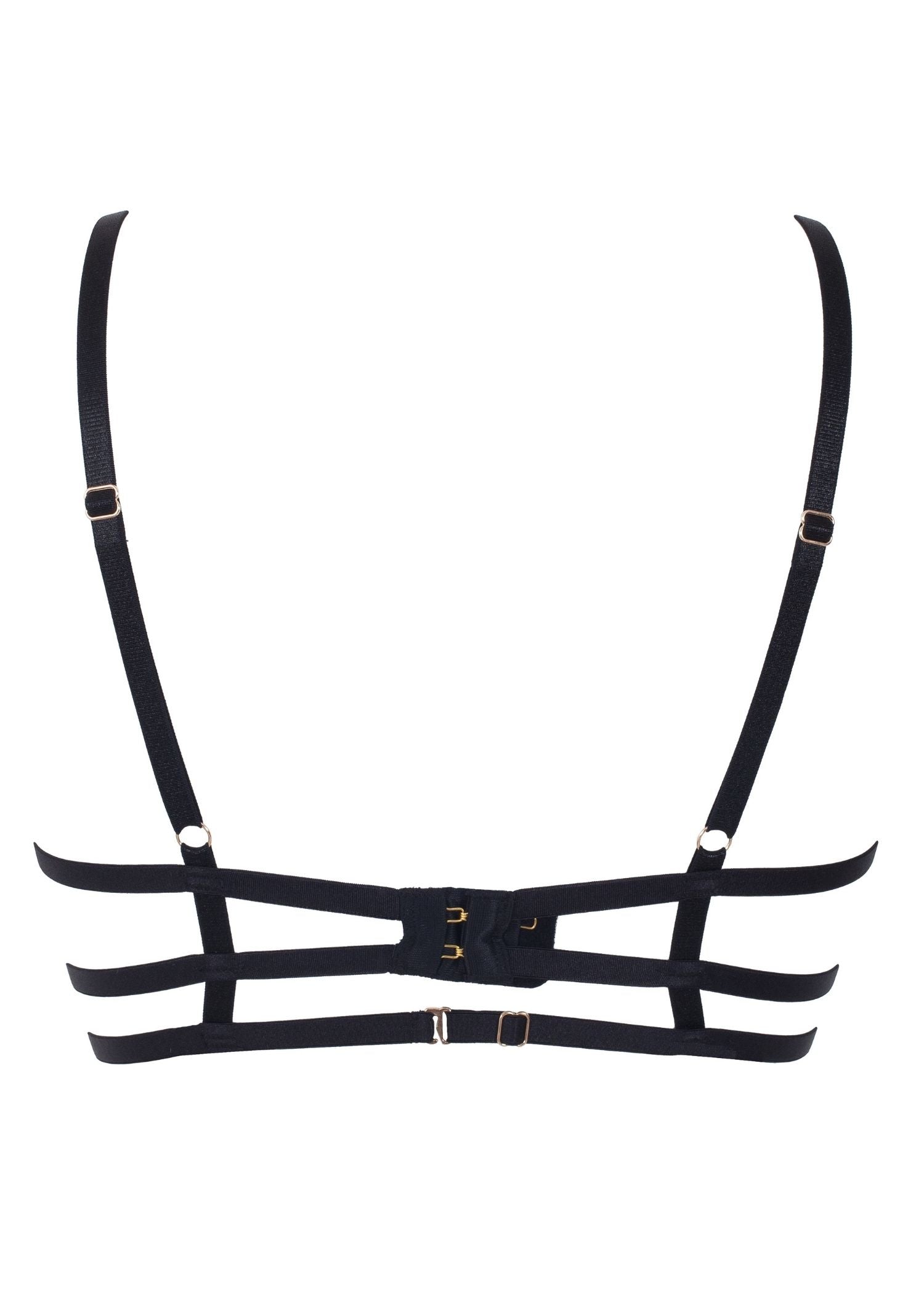 BLUEBELLA Estelle Bra